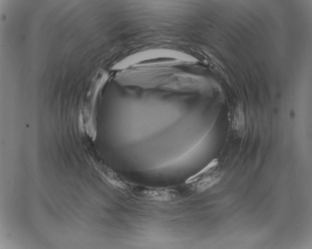 X0000066520524200604071555