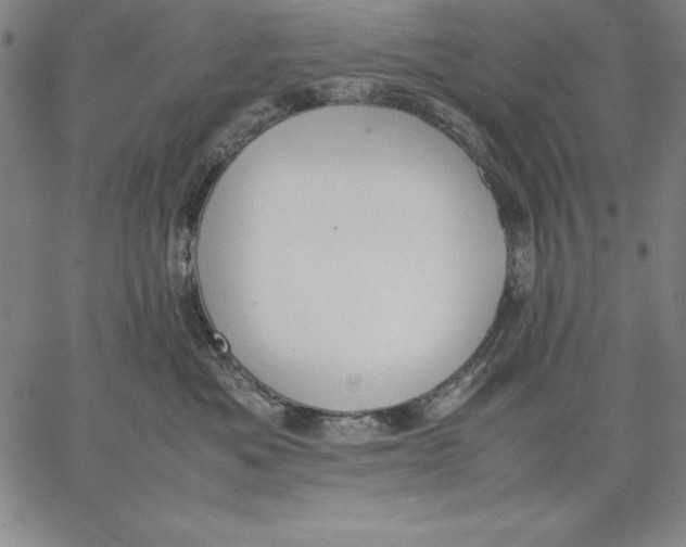 X0000066520525200604071555