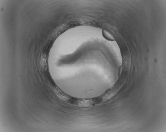 X0000066520527200604071555