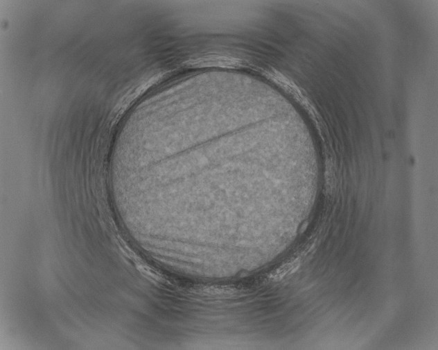 X0000066520529200604071554