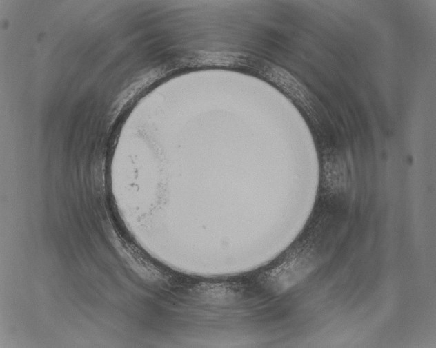 X0000066520534200604071554