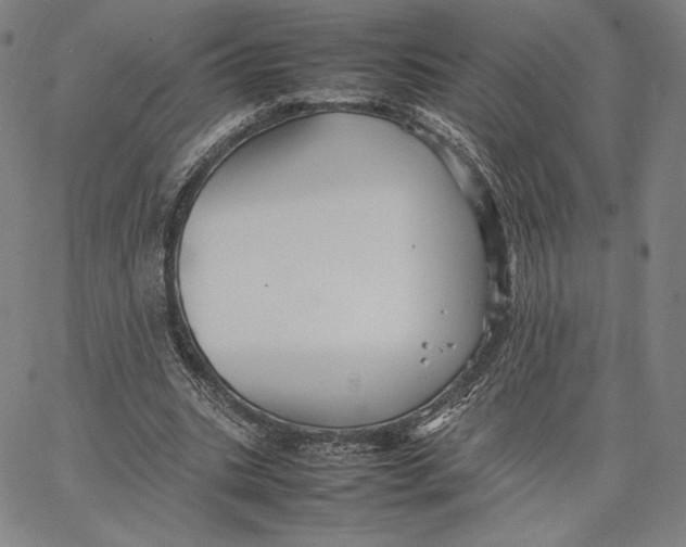 X0000066520535200604071554