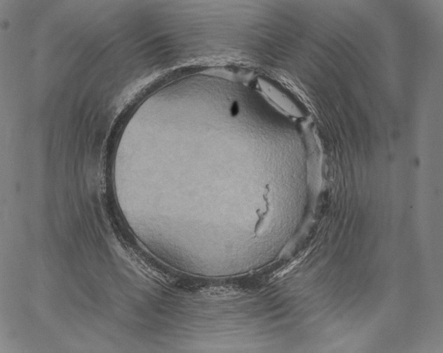 X0000066520536200604071554