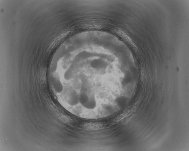 X0000066520537200604071554