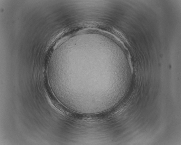 X0000066520538200604071554