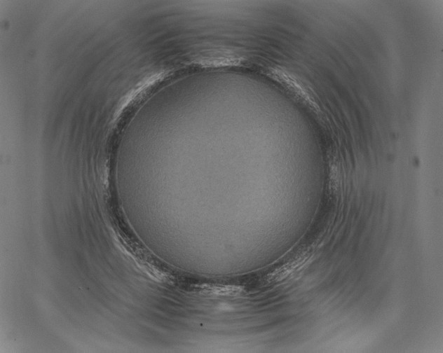 X0000066520539200604071554