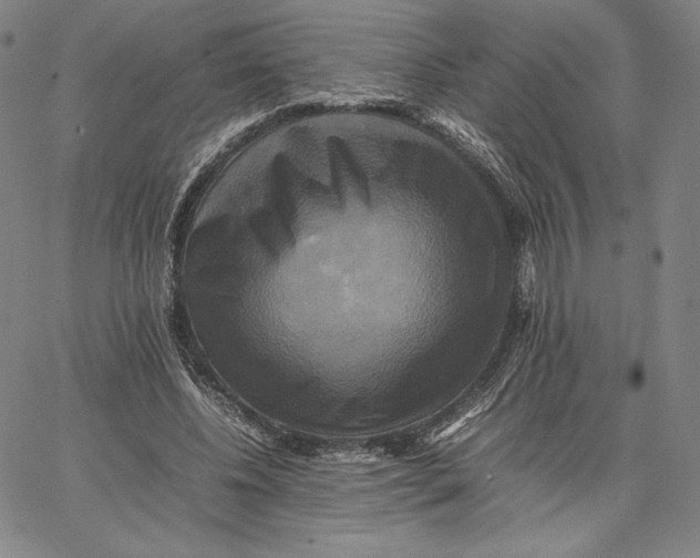 X0000066520540200604071554