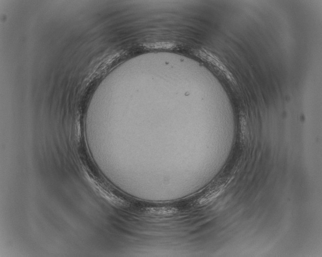 X0000066520541200604071554