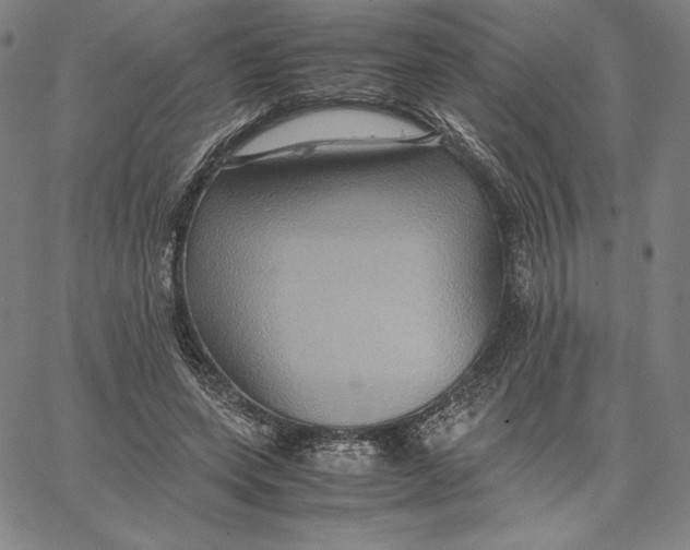 X0000066520543200604071554