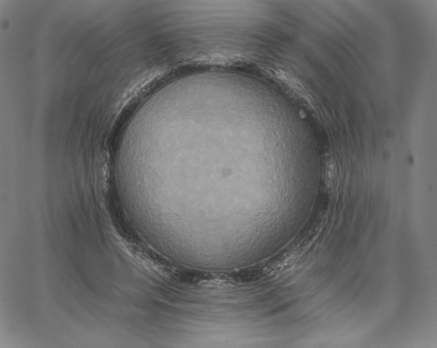 X0000066520544200604071554