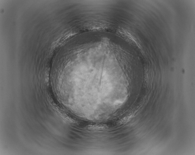 X0000066520545200604071554