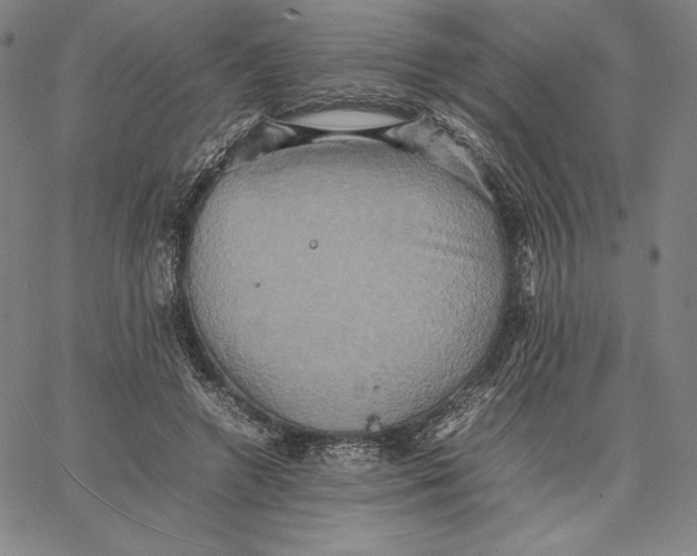 X0000066520546200604071554