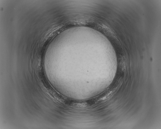 X0000066520548200604071554