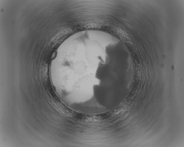 X0000066520550200604071554