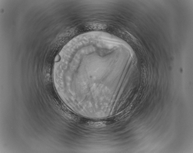 X0000066520553200604071554