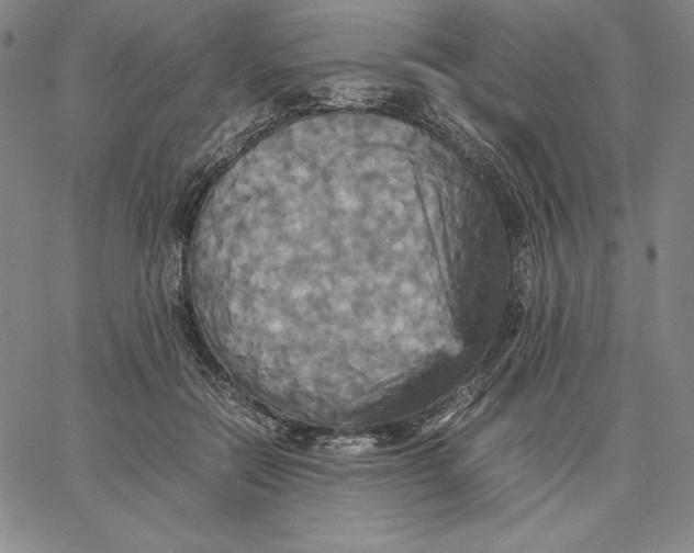 X0000066520554200604071554