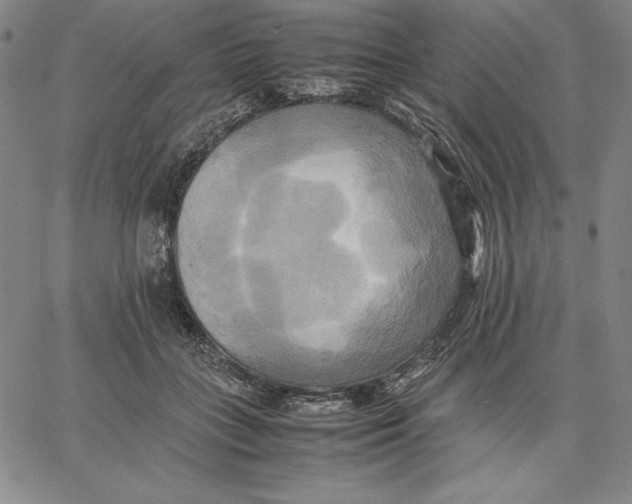 X0000066520555200604071554