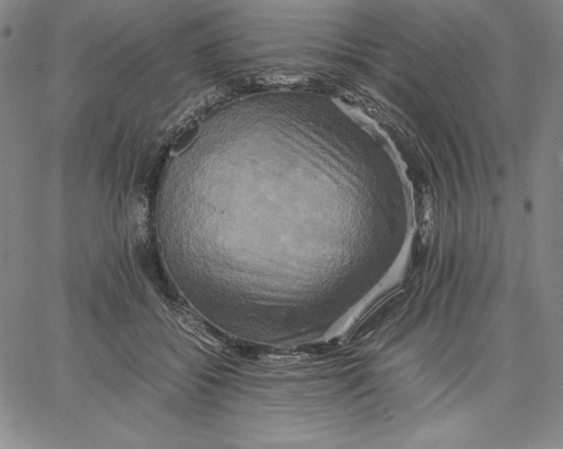 X0000066520556200604071554