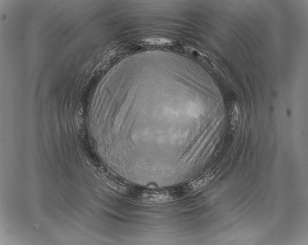 X0000066520559200604071555