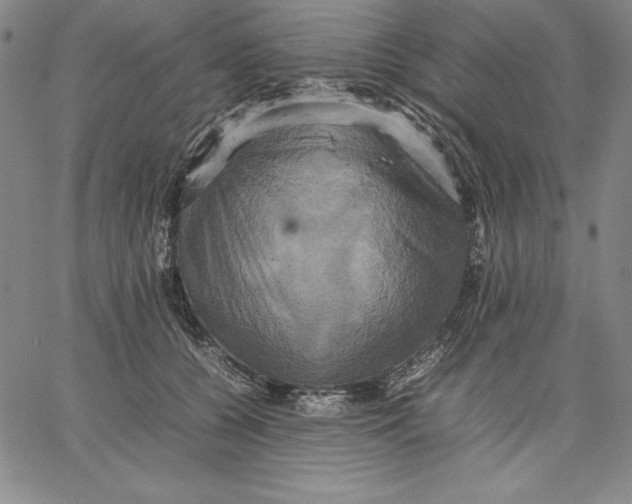 X0000066520560200604071555