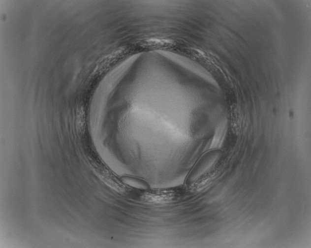 X0000066520563200604071555