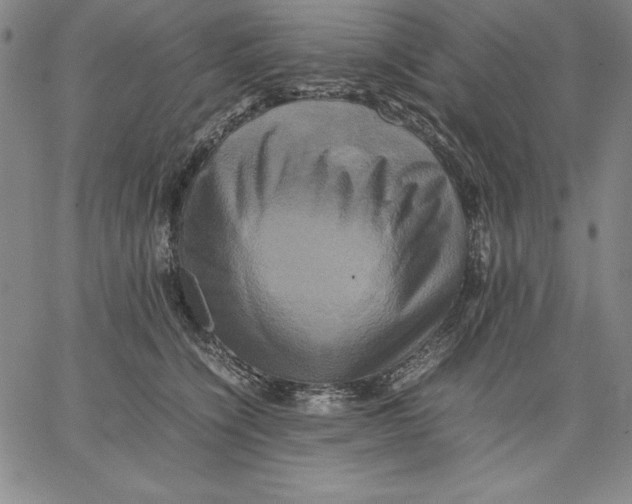 X0000066520564200604071555