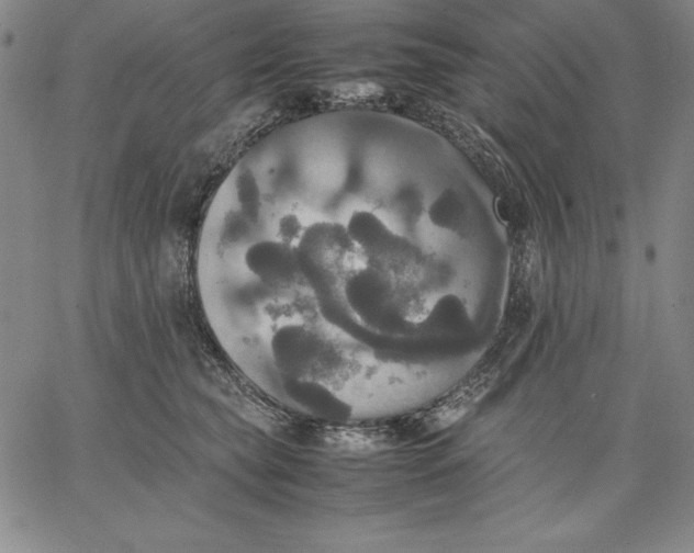 X0000066520565200604071555