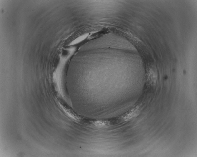 X0000066520566200604071555