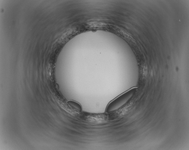 X0000066520567200604071555