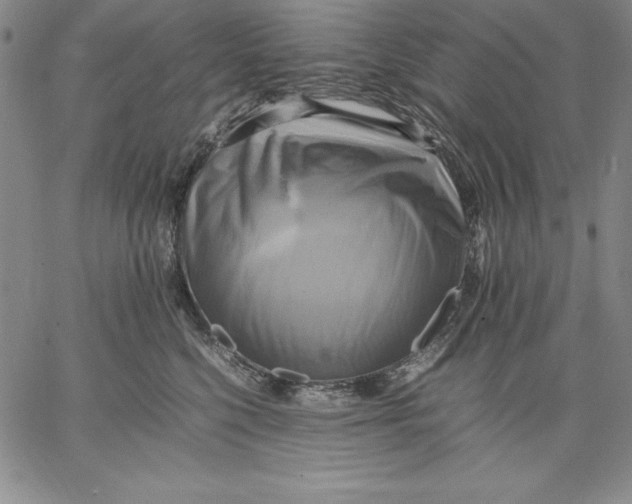 X0000066520568200604071555