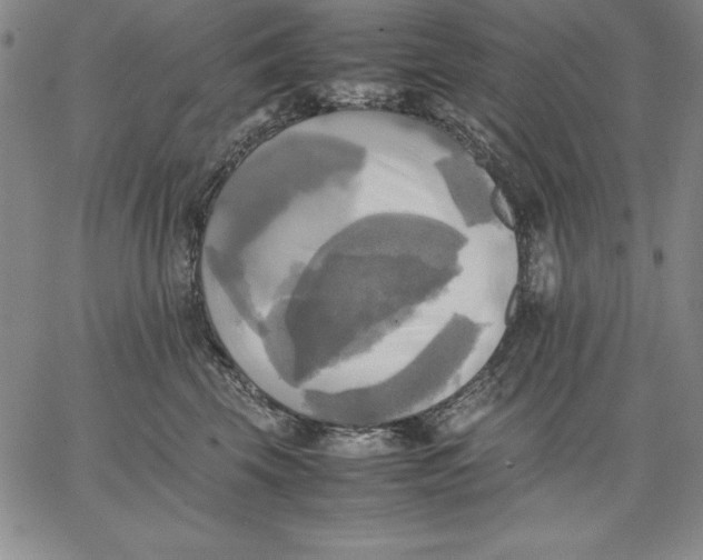 X0000066520569200604071555