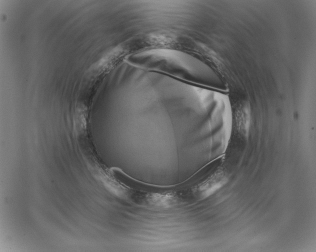 X0000066520570200604071555