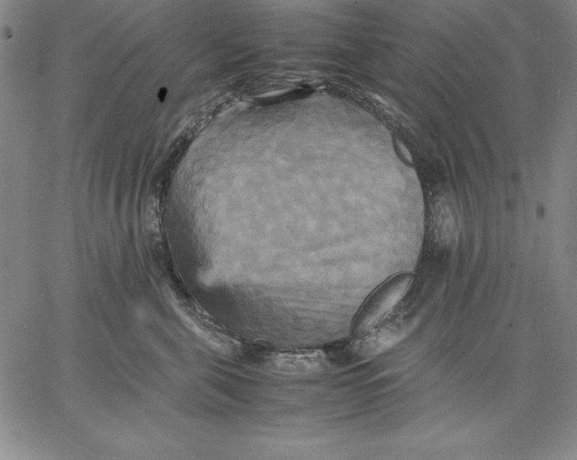 X0000066520571200604071555