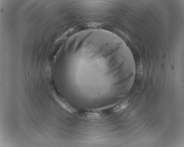 X0000066520572200604071555