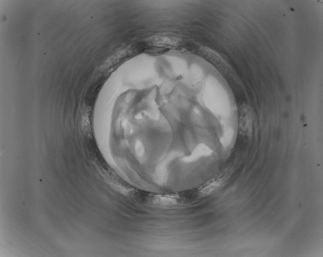 X0000066520573200604071555