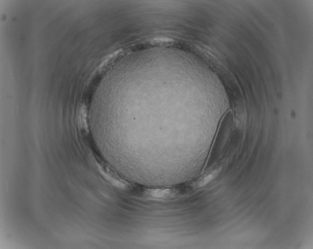 X0000066520575200604071555