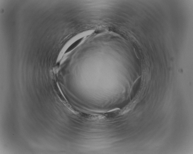 X0000066520576200604071555