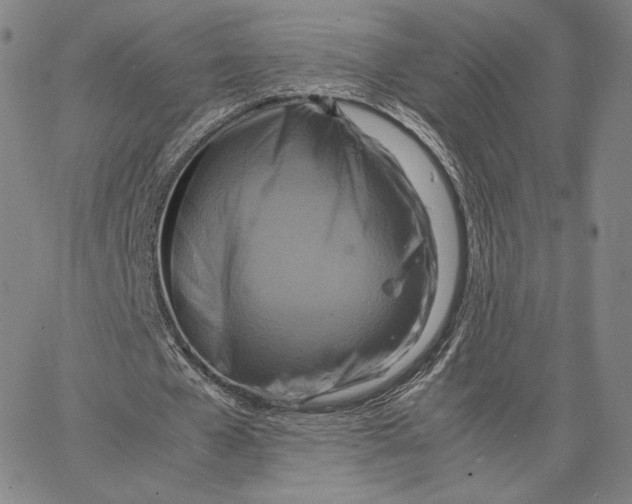 X0000066520577200604071554