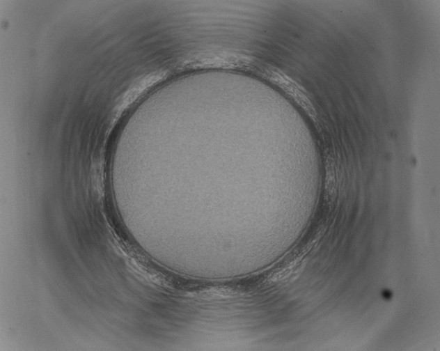 X0000066520578200604071554