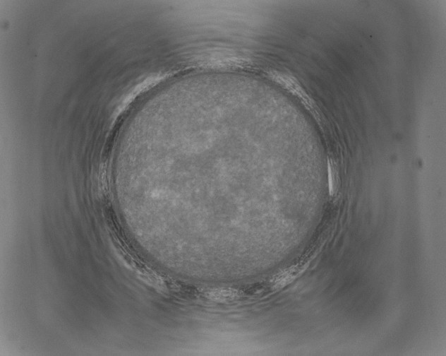 X0000066520579200604071554