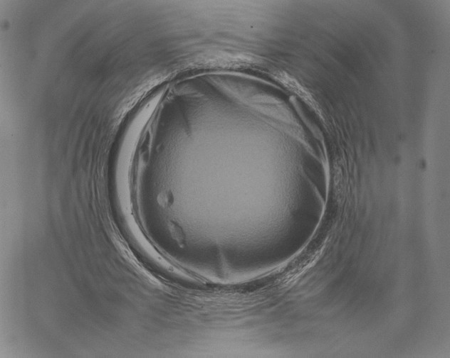 X0000066520581200604071554