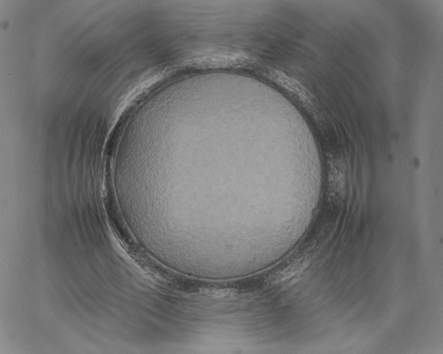 X0000066520582200604071554