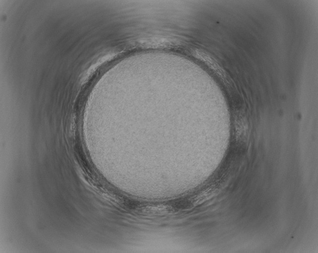 X0000066520583200604071554