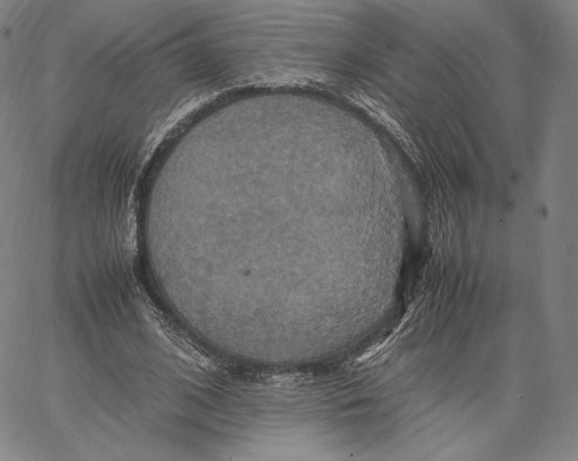 X0000066520584200604071554