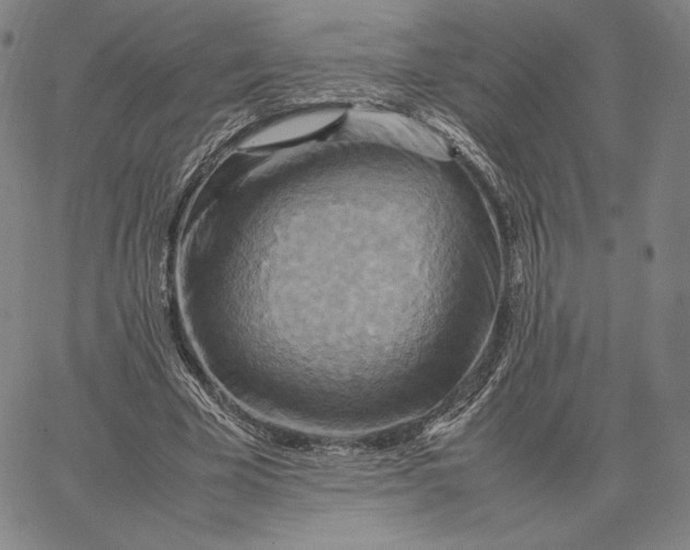 X0000066520585200604071554