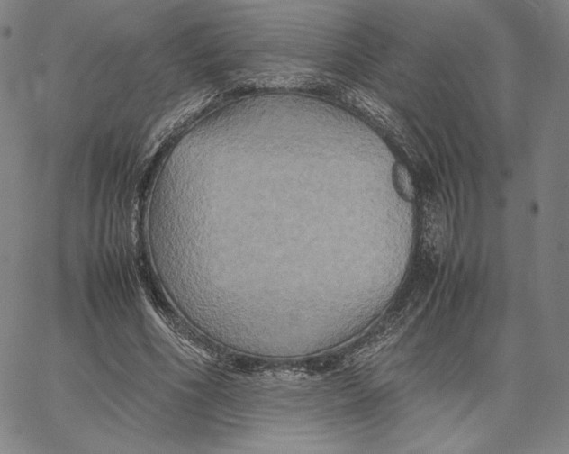 X0000066520586200604071554