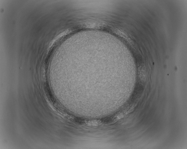 X0000066520587200604071554