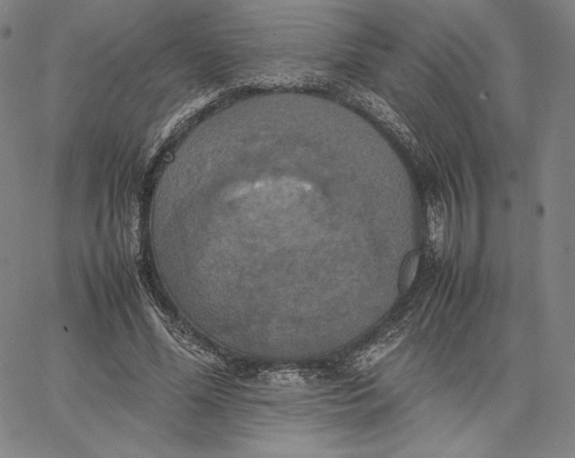 X0000066520588200604071554