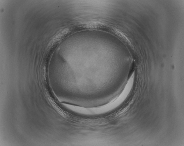 X0000066520589200604071554