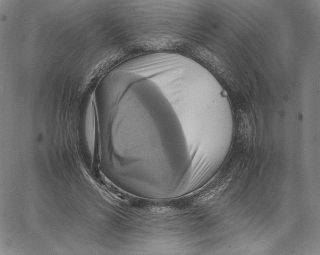 X0000066520590200604071554